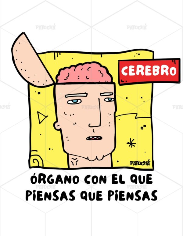 Cerebro, Órgano Con El Que Piensas Que Piensas - Imagen 3