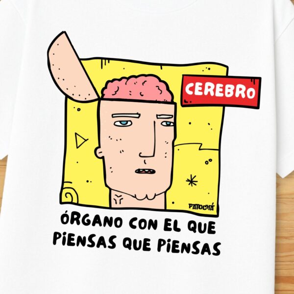 Cerebro - Imagen 2
