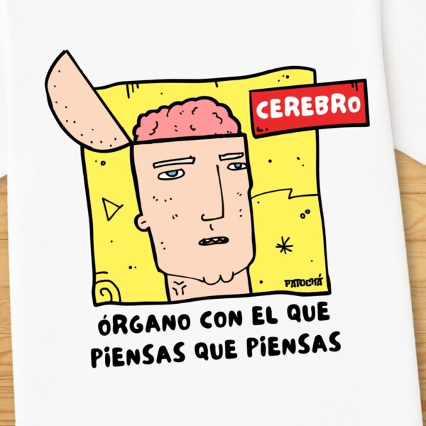 Cerebro - Imagen 2