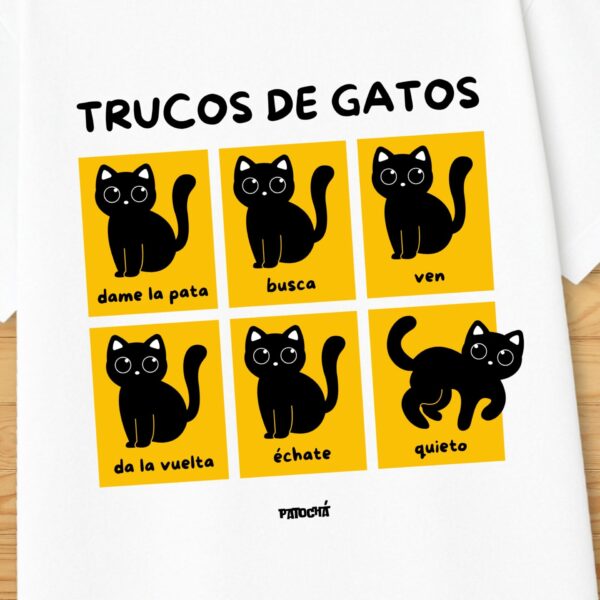 Trucos de gatos - Imagen 2