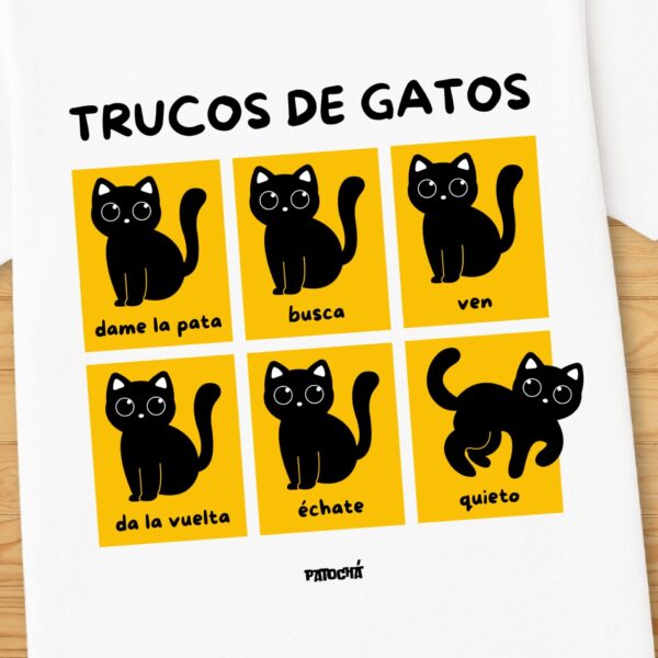 Trucos de gatos - Imagen 2